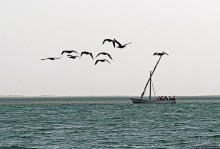 Альбом отзыва "Национальный парк Банк д`Арген (объект ЮНЕСКО №506)"