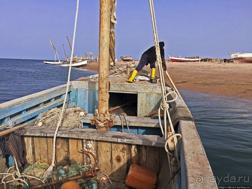 Альбом отзыва "Национальный парк Банк д`Арген (объект ЮНЕСКО №506)"