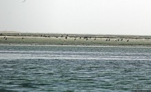 Альбом отзыва "Национальный парк Банк д`Арген (объект ЮНЕСКО №506)"