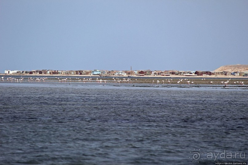 Альбом отзыва "Национальный парк Банк д`Арген (объект ЮНЕСКО №506)"