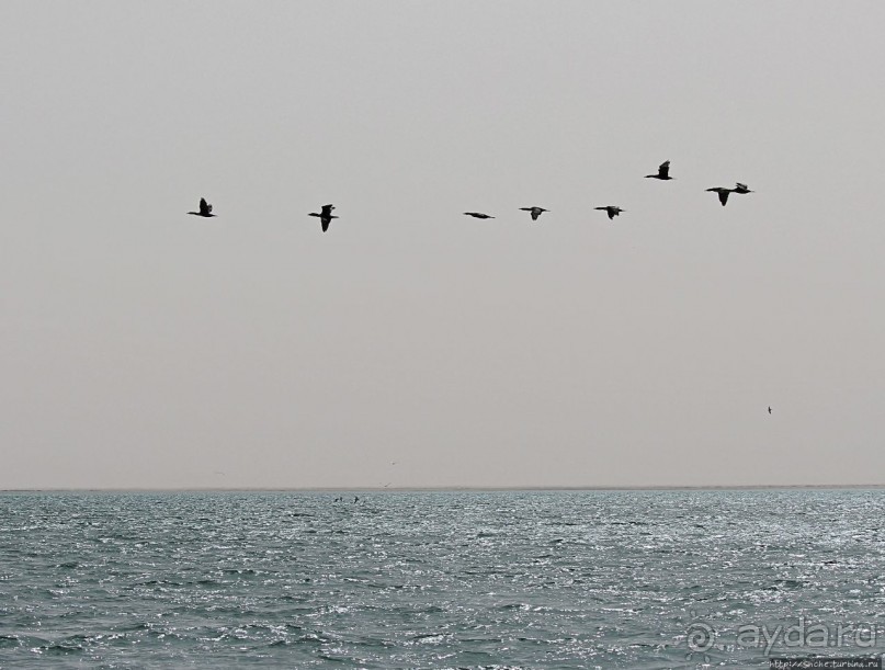 Альбом отзыва "Национальный парк Банк д`Арген (объект ЮНЕСКО №506)"