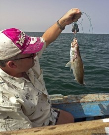 Альбом отзыва "Национальный парк Банк д`Арген (объект ЮНЕСКО №506)"