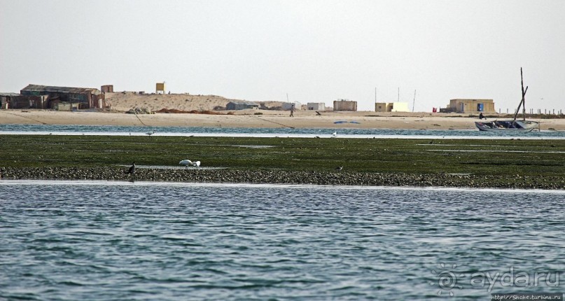 Альбом отзыва "Национальный парк Банк д`Арген (объект ЮНЕСКО №506)"