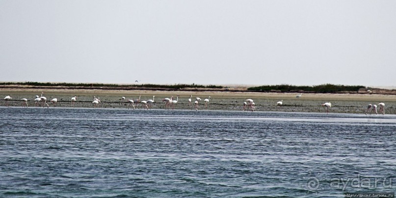 Альбом отзыва "Национальный парк Банк д`Арген (объект ЮНЕСКО №506)"