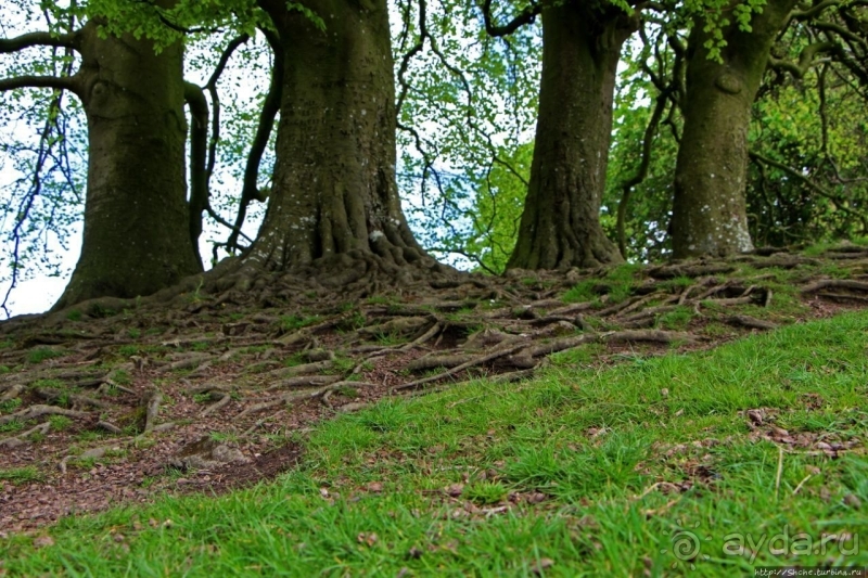 Камни водят хороводы
