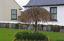 Красивый газон и часовая башня — все, что осталось от церкви