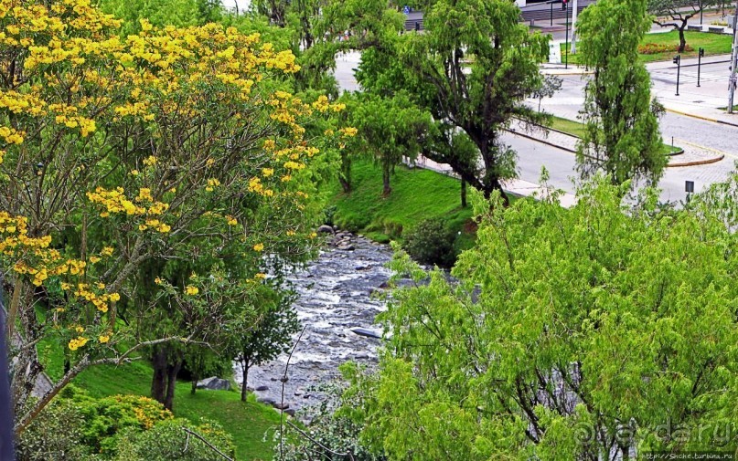 Соломенная шляпка