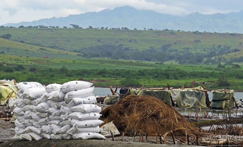 В чем же соль?