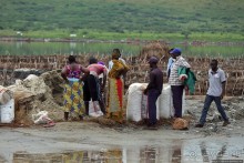 В чем же соль?