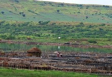 В чем же соль?