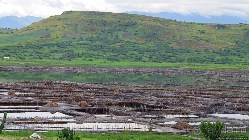 В чем же соль? В чем же соль?