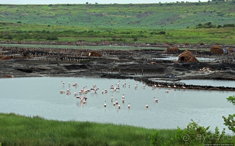 В чем же соль? В чем же соль?