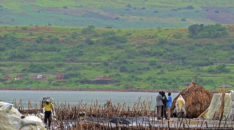 В чем же соль? В чем же соль?