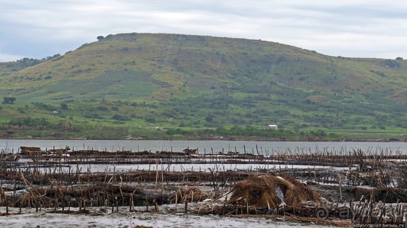 В чем же соль? В чем же соль?