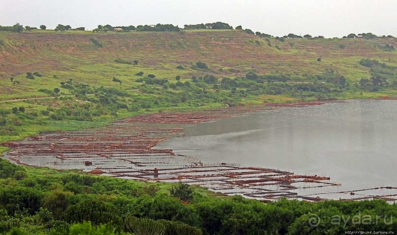 В чем же соль? В чем же соль?