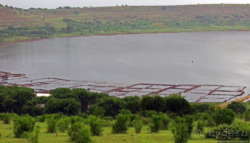 В чем же соль? В чем же соль?