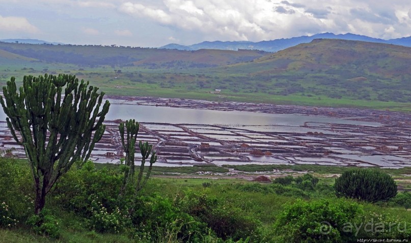 В чем же соль? В чем же соль?