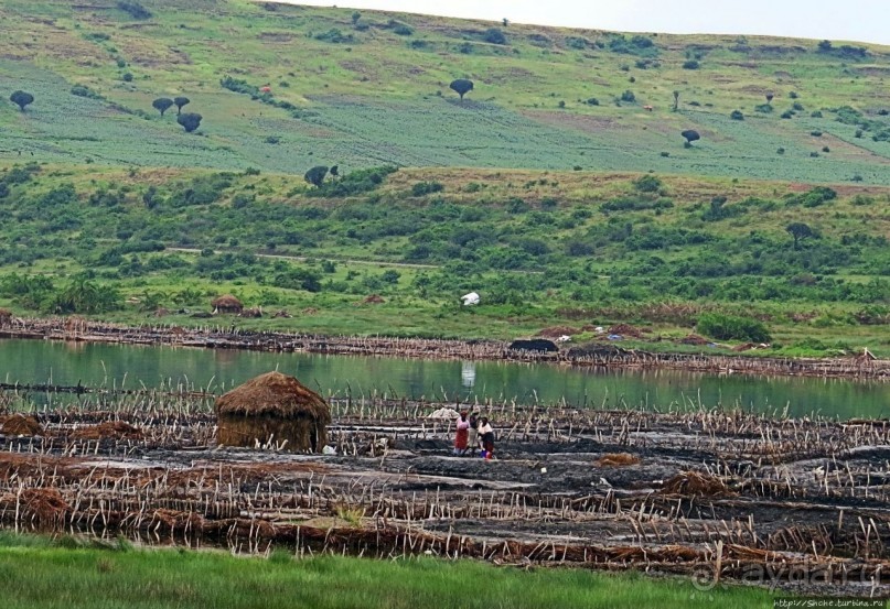 В чем же соль? В чем же соль?