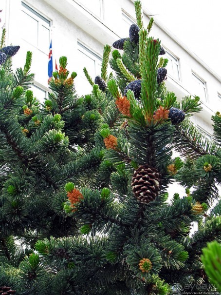 Столица севера Исландии