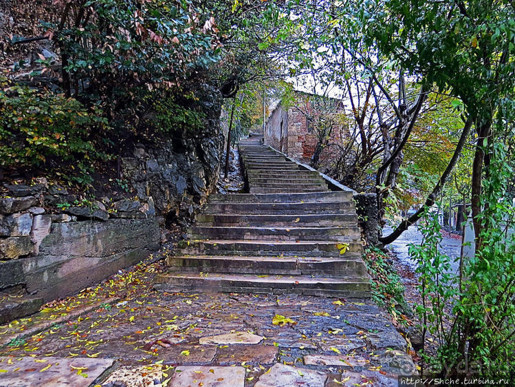 Знакомство с Кутаиси. Последний день осени. Дождь