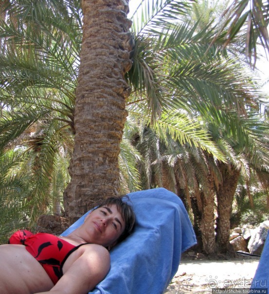 Здесь могли снимать рекламу "Баунти" — пальмовый пляж Ваи