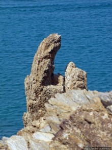 Здесь могли снимать рекламу "Баунти" — пальмовый пляж Ваи