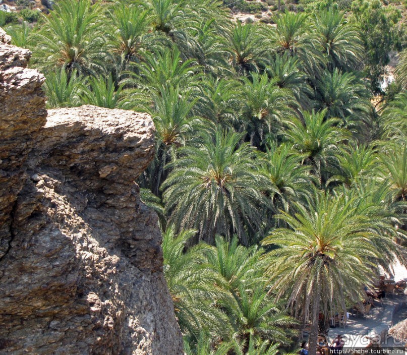 Здесь могли снимать рекламу "Баунти" — пальмовый пляж Ваи