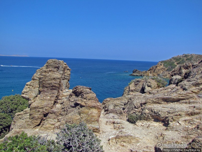 Здесь могли снимать рекламу "Баунти" — пальмовый пляж Ваи