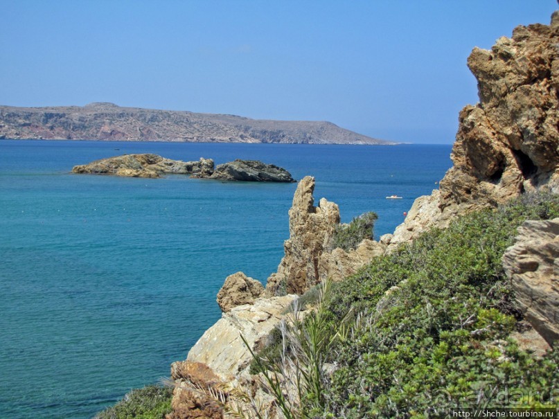 Здесь могли снимать рекламу "Баунти" — пальмовый пляж Ваи