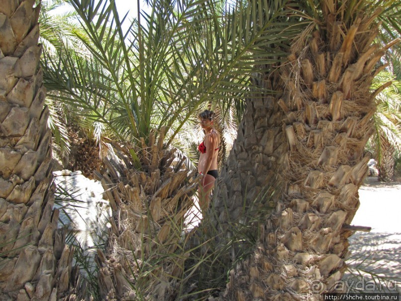 Здесь могли снимать рекламу "Баунти" — пальмовый пляж Ваи