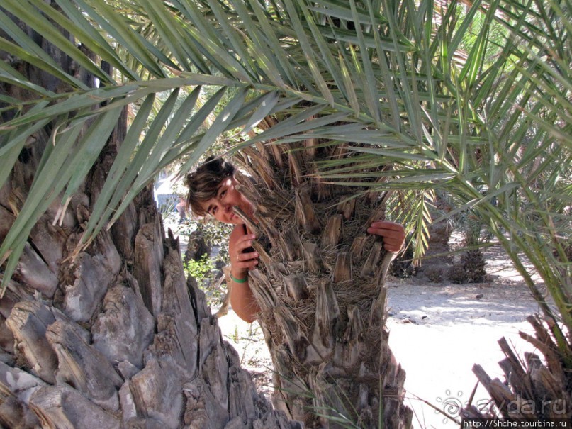 Здесь могли снимать рекламу "Баунти" — пальмовый пляж Ваи