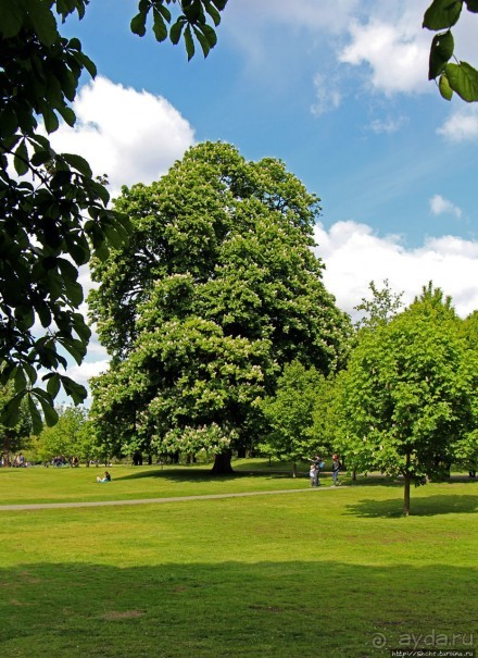 Гринвичский парк, Гринвичский холм, Гринвичский меридиан