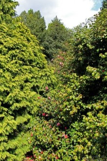 Гринвичский парк, Гринвичский холм, Гринвичский меридиан