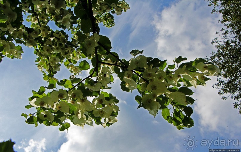 Гринвичский парк, Гринвичский холм, Гринвичский меридиан Гринвичский парк, Гринвичский холм, Гринвичский меридиан