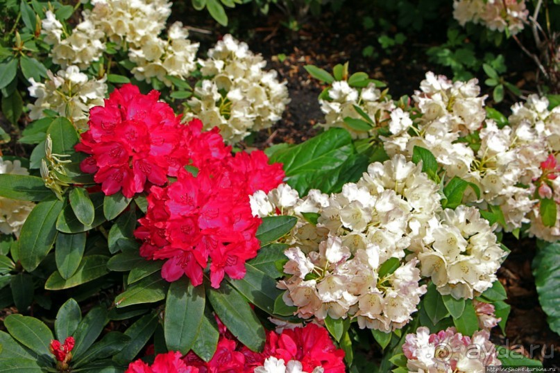 Гринвичский парк, Гринвичский холм, Гринвичский меридиан Гринвичский парк, Гринвичский холм, Гринвичский меридиан