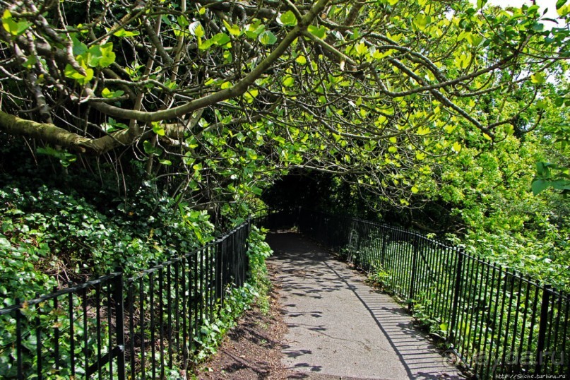 Гринвичский парк, Гринвичский холм, Гринвичский меридиан Гринвичский парк, Гринвичский холм, Гринвичский меридиан