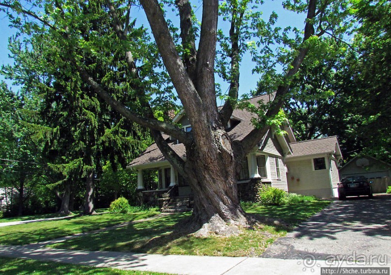 Проехались по глубинкам Огайо