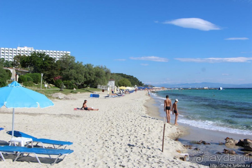 На Паллини-бич