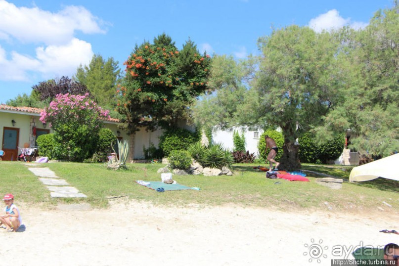 На Паллини-бич