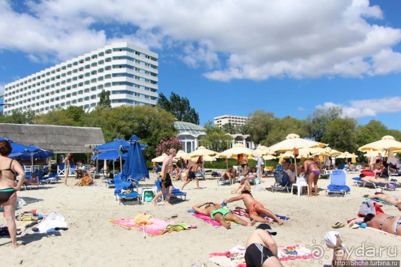 На Паллини-бич