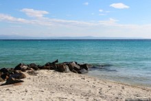 На Паллини-бич