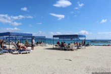 Альбом отзыва "На Паллини-бич"