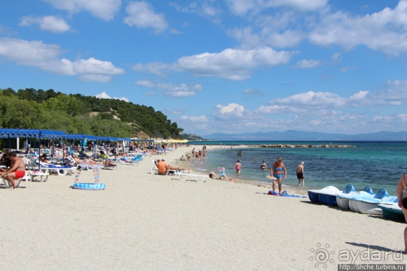 На Паллини-бич