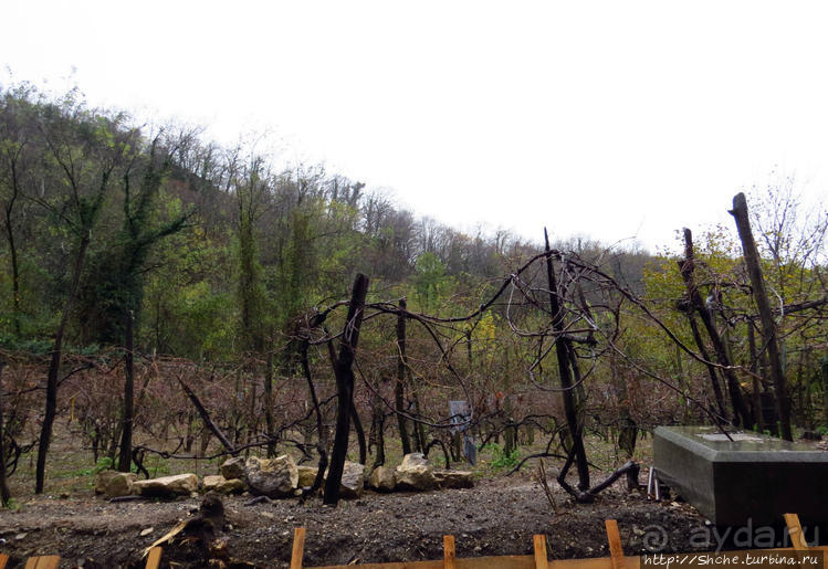 Посещение Гелатского монастыря