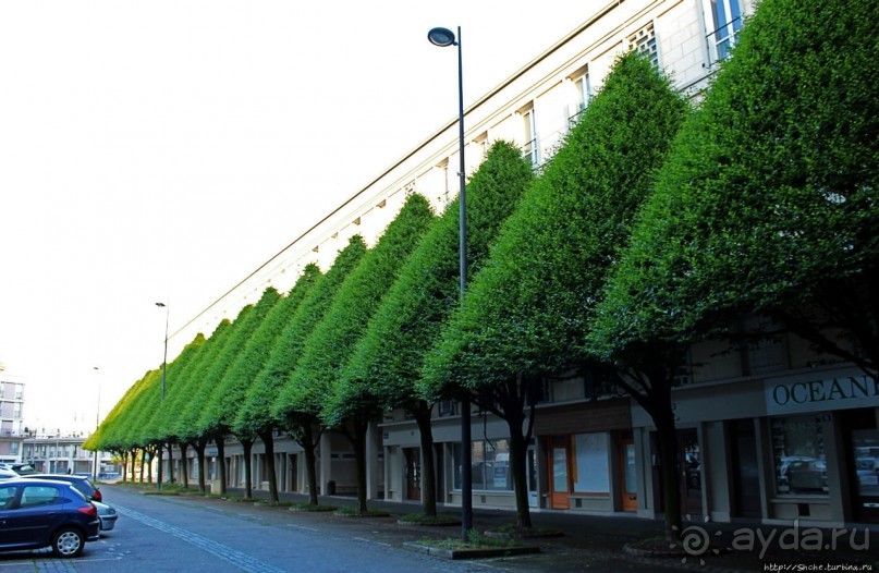 Такая разнообразная Франция. Завершение третьего дня. Гавр
