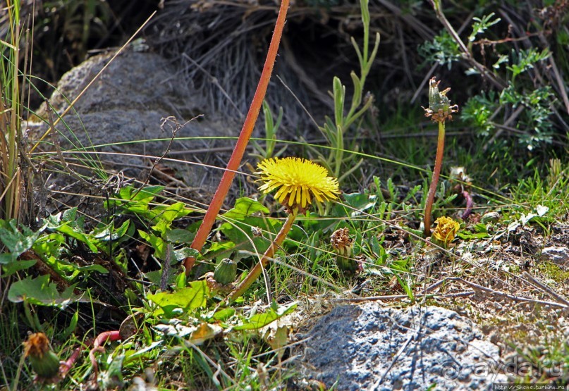 Эталонное озеро в кальдере вулкана Килотоа и легенда о любви