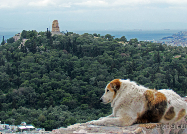 Афинский хит-парад