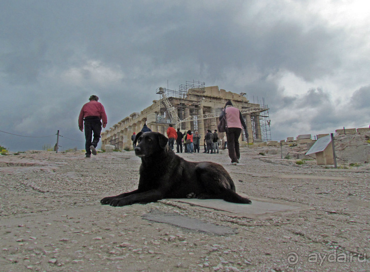 Афинский хит-парад