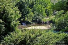 Хоть и "археологический", но все же парк Диона