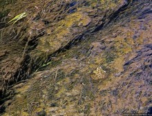 Хоть и "археологический", но все же парк Диона